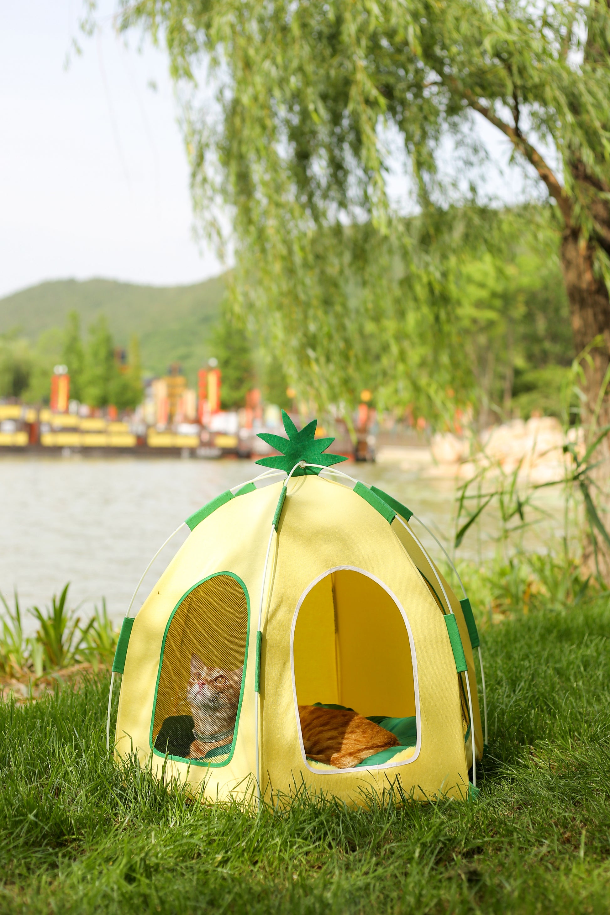 Pet Pineapple Big Tent-75x65cm[菠萝宠物大帐篷-75x65cm] image 1