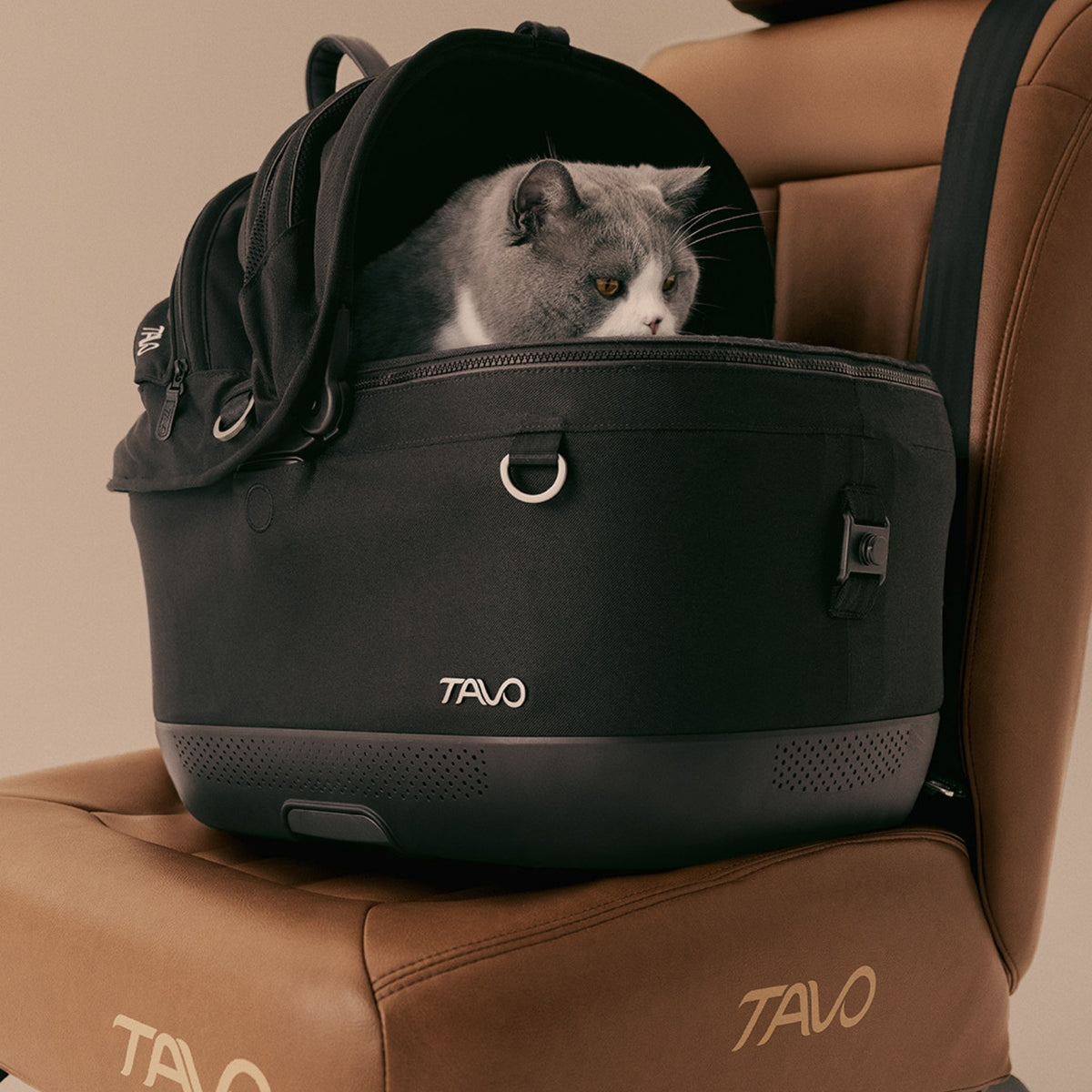 Tavo Meave ISO (without stroller)