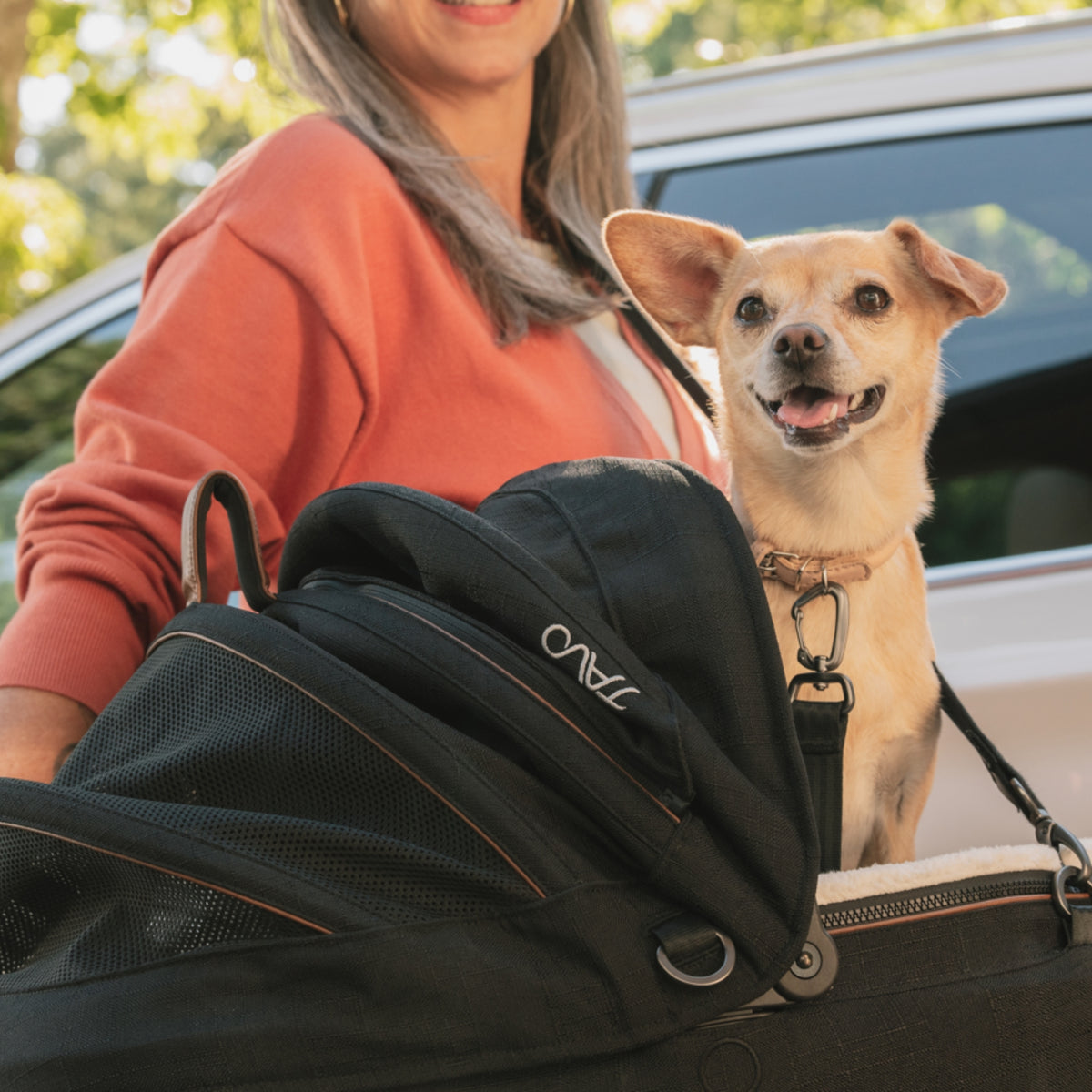 Tavo Meave Flex (flex handle) with Isofix Base (without stroller)