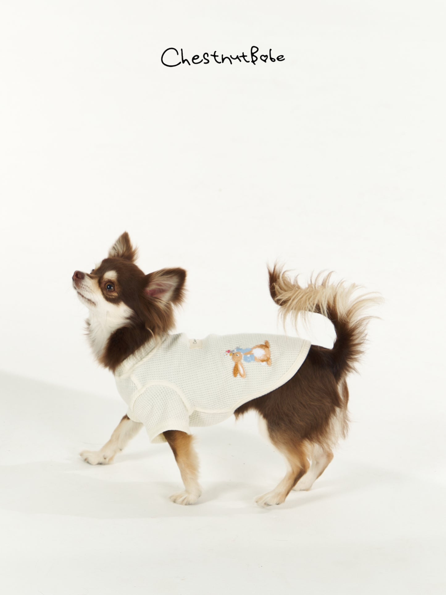 Chestnutbabe-Peter Rabbit sweater[Chestnutbabe-彼得兔衣服] image 2