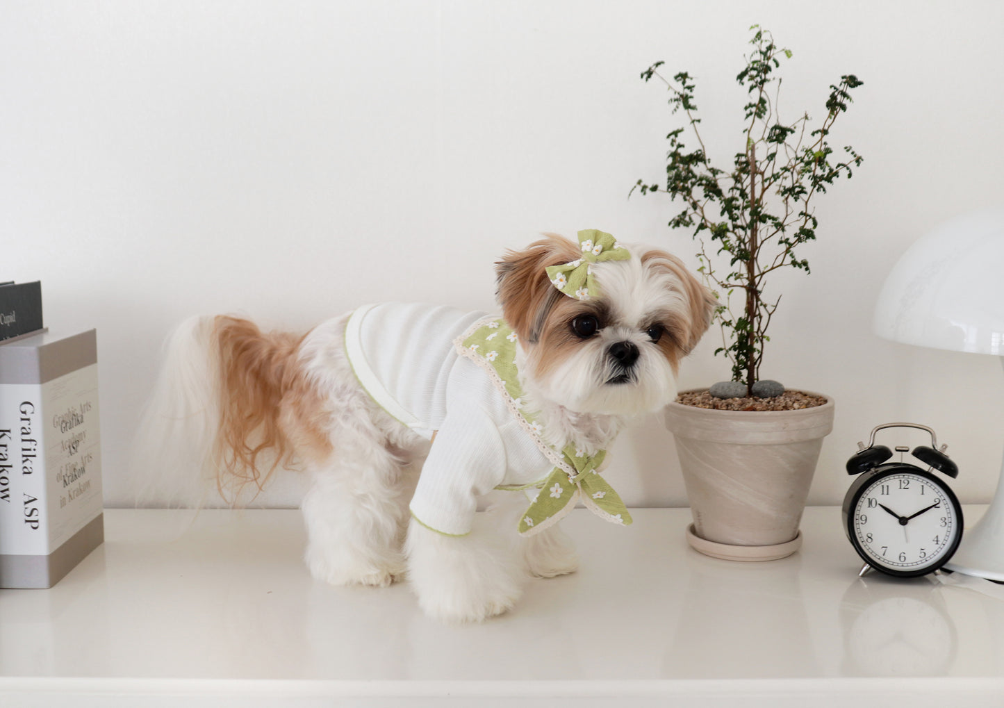 Durang Rurang Flower Coat[韩国Durang Rurang碎花领小衣服] image 3