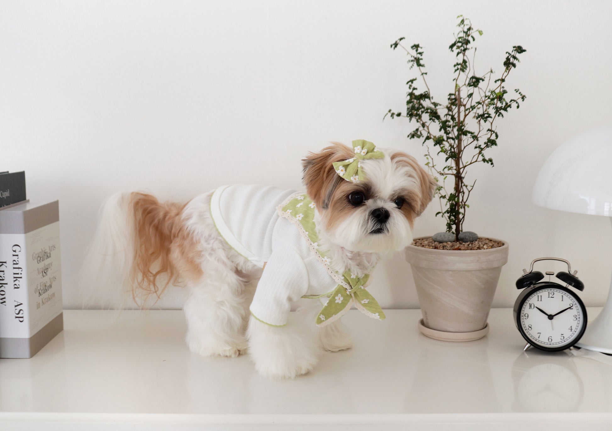 Durang Rurang Flower Coat[韩国Durang Rurang碎花领小衣服] image 3