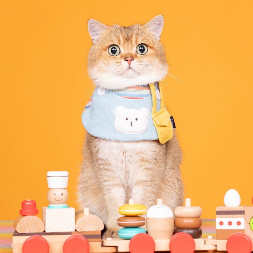 MoMoji Bear Girls | Pet Bib image 2