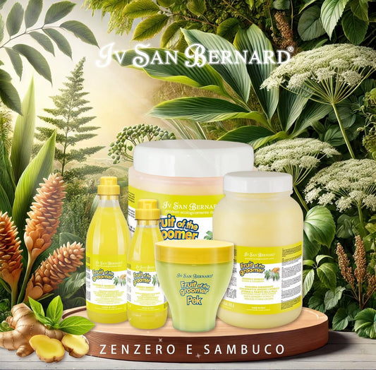 Iv San Bernard-Fruit: Ginger&Elderberry SH/CON[伊珊娜-水果系列: 姜与接骨木香波/护毛素] image 0