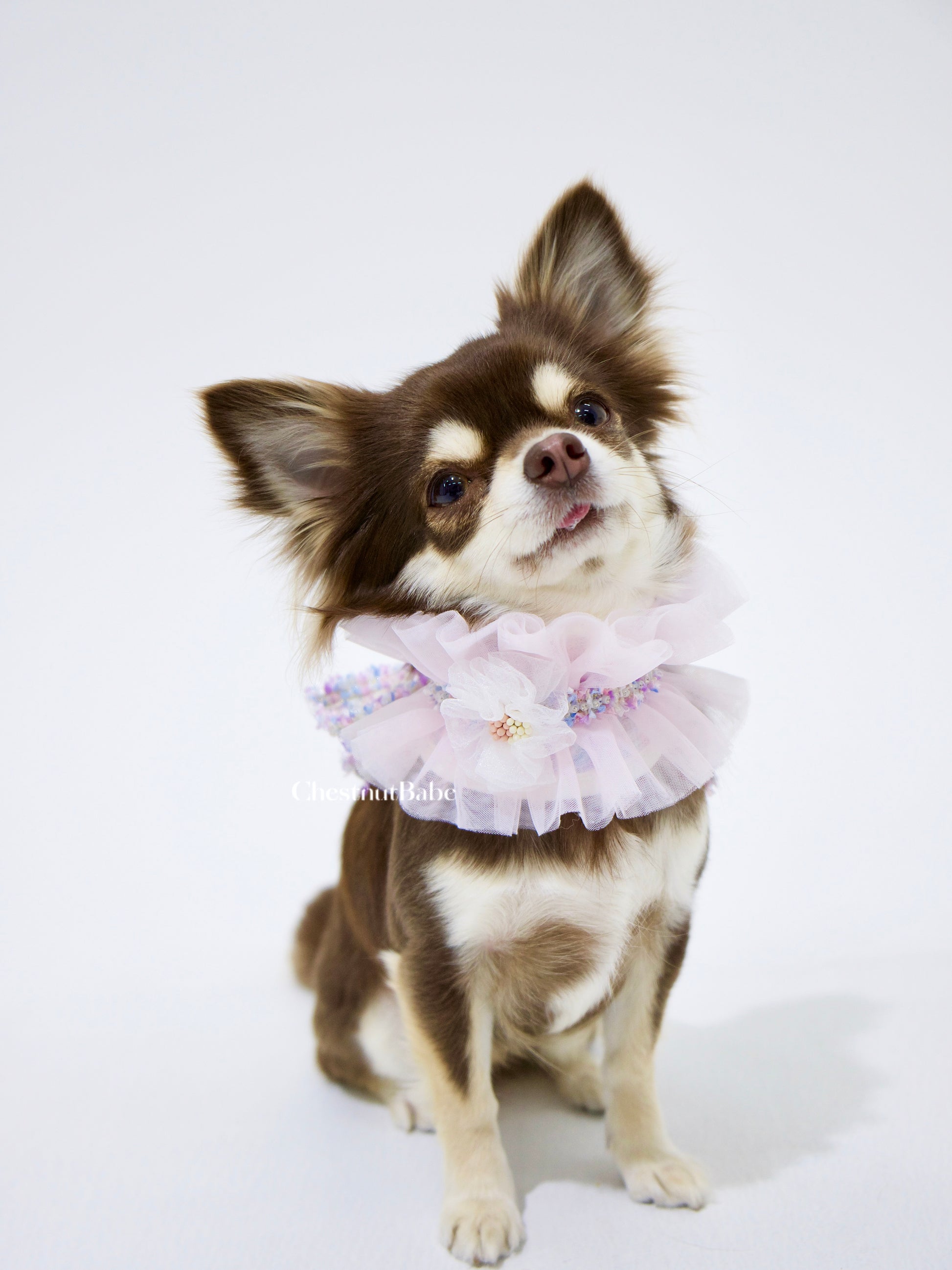 Chestnutbabe-TUTU Chocker[Chestnutbabe-TUTU围脖] image 0