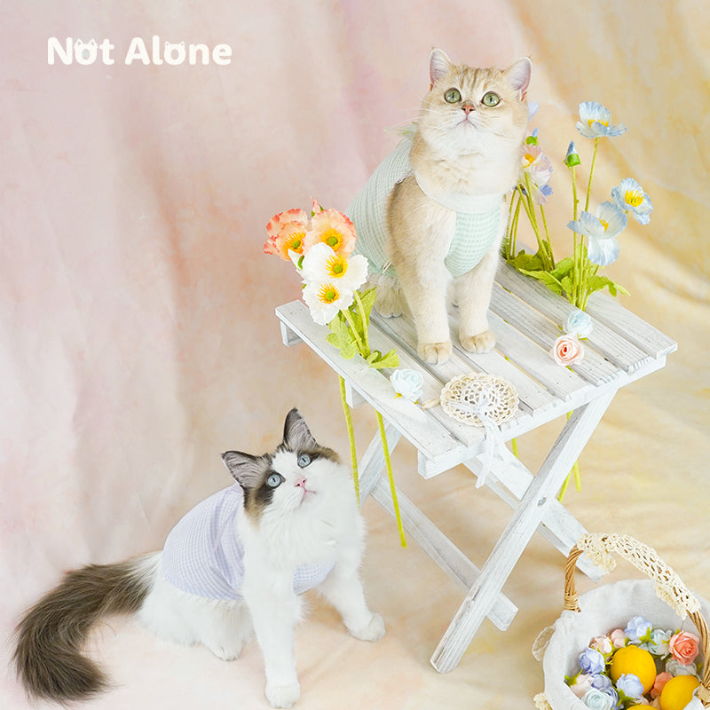 NotAlone-Fairy Bow Dress[不孤岛-下午茶泡泡裙] image 5