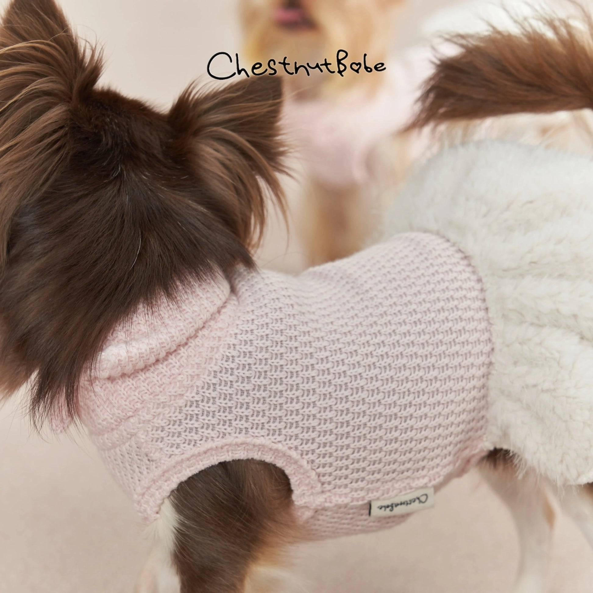 Chestnutbabe-Little Cake Dress[Chestnutbabe-毛绒小蛋糕衣裙] image 2