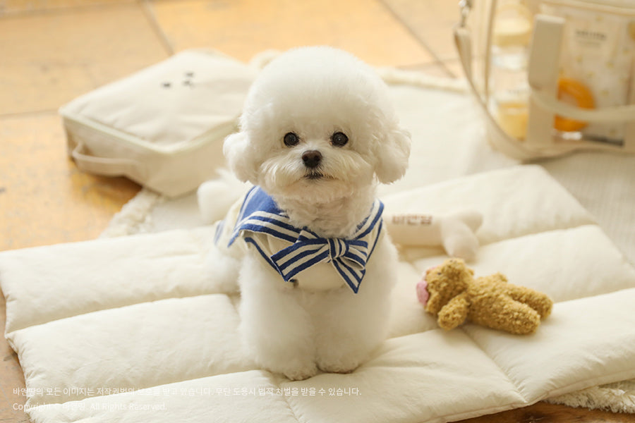 Ba&ttang-Marine Sailor Knit Pullover: ivory/blue[Ba&ttang-水手服小毛衣:蓝色] image 4