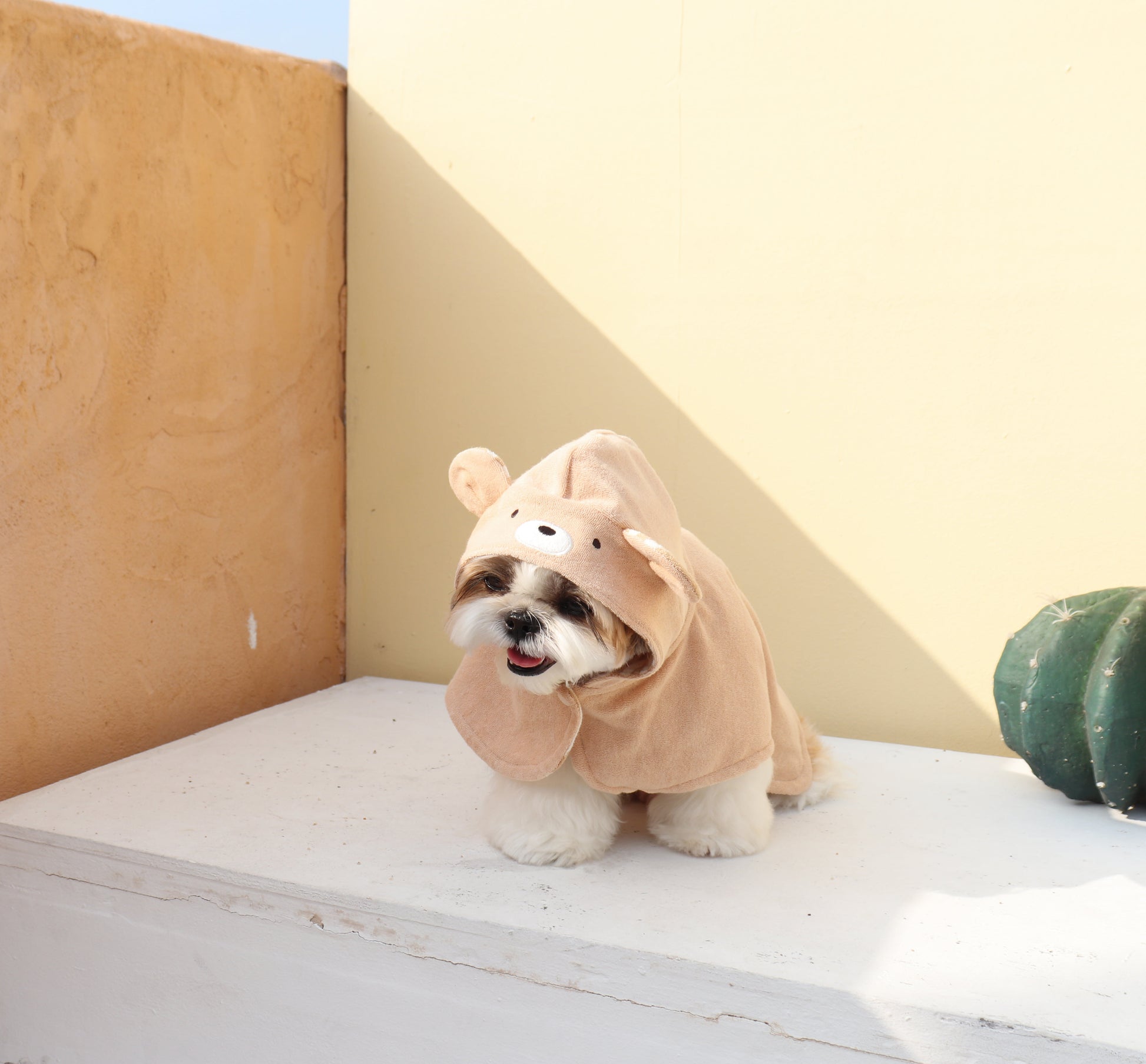 Durang Rurang Bear Hoody[韩国Durang Rurang心形小熊套头帽衫] image 6