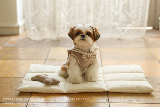 Ba&ttang-Marine Sailor Knit Pullover:mocha[Ba&ttang-水手服小毛衣:摩卡色] image 0