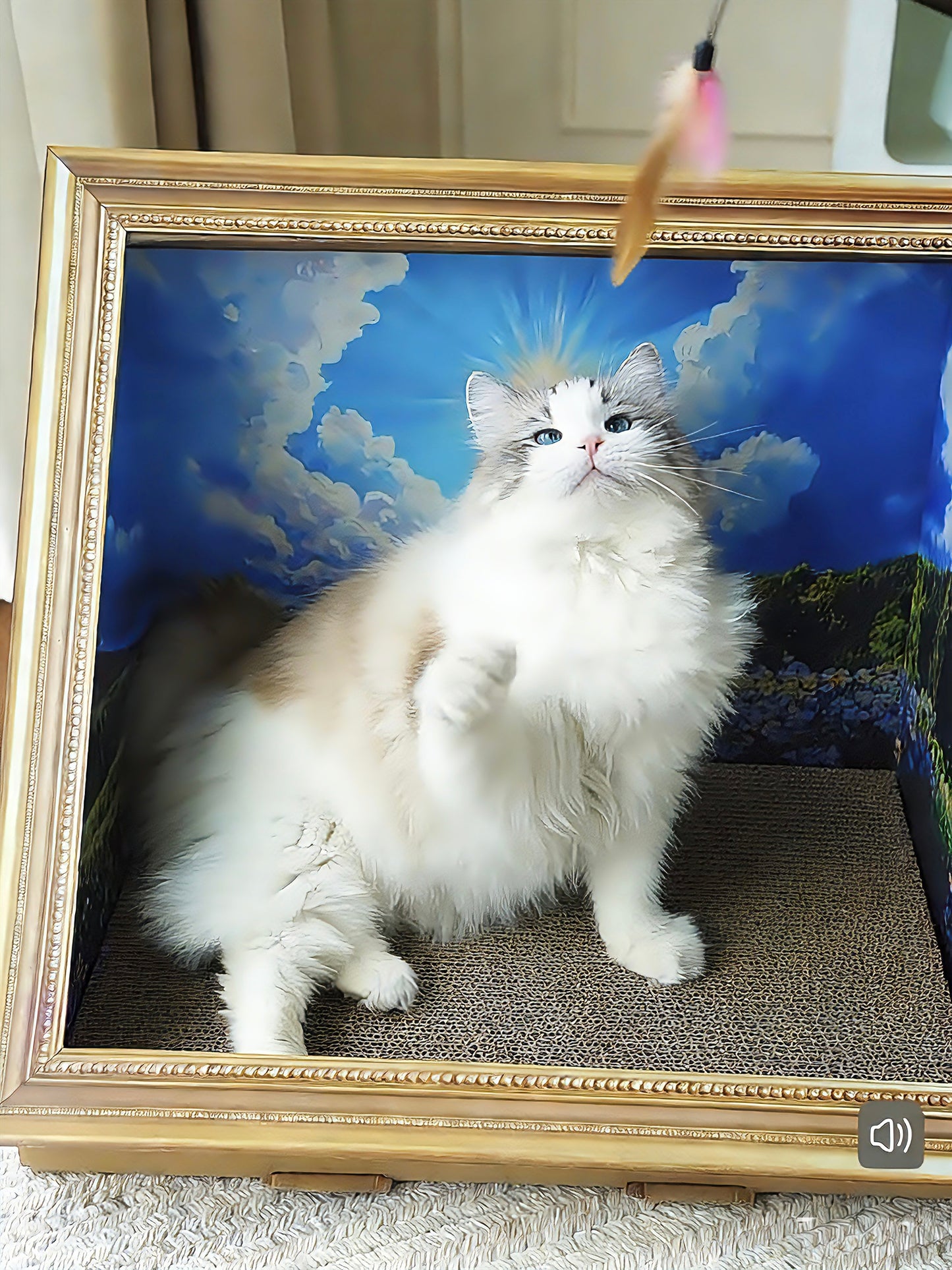 Painting Style Cardboard Box Scratcher & Bedding[油画猫窝-纸板+抓板]