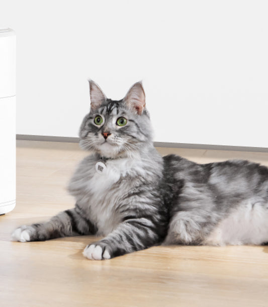 Catlink-UFO Tag Set:2Collar2Tag[Catlink-UFO智能识别项圈:2项圈] image 0