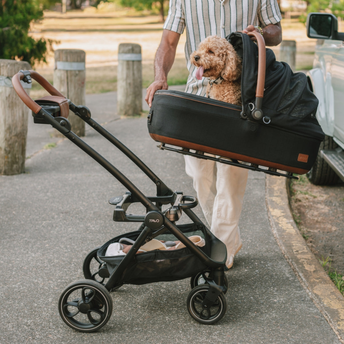 Tavo Meave Rigid Medium (rigid handle) with Isofix Base (without stroller)