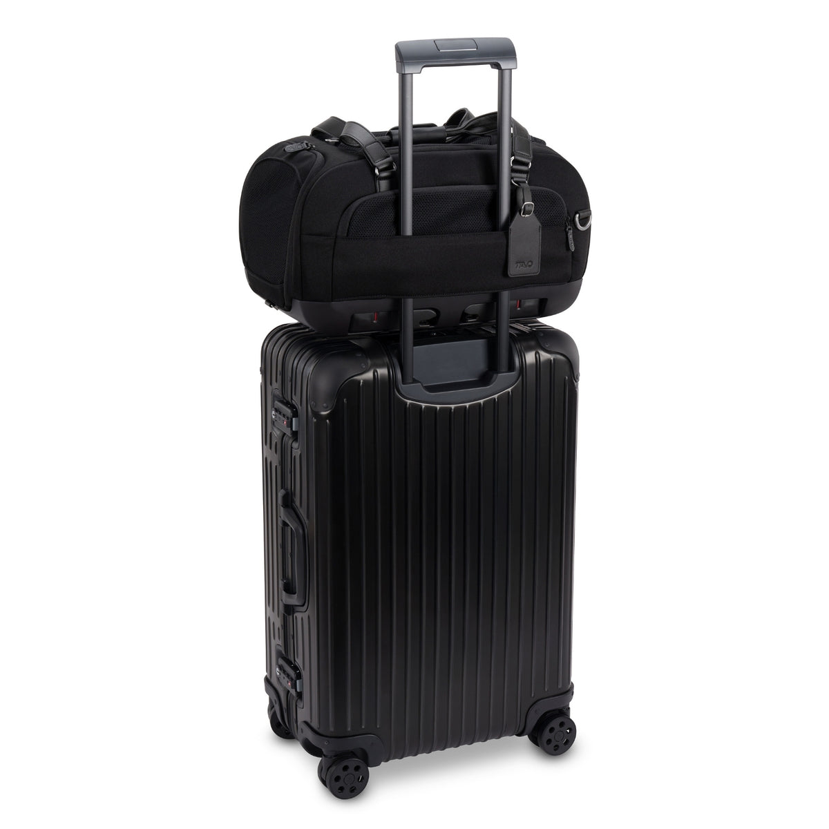 Tavo Dupree Pet Car Set and Carrier