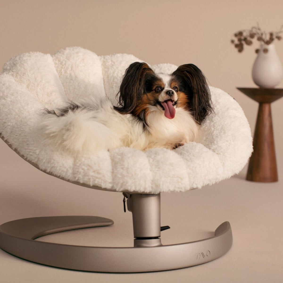 Tavo Shell Pet Bed And Swaying Lounger