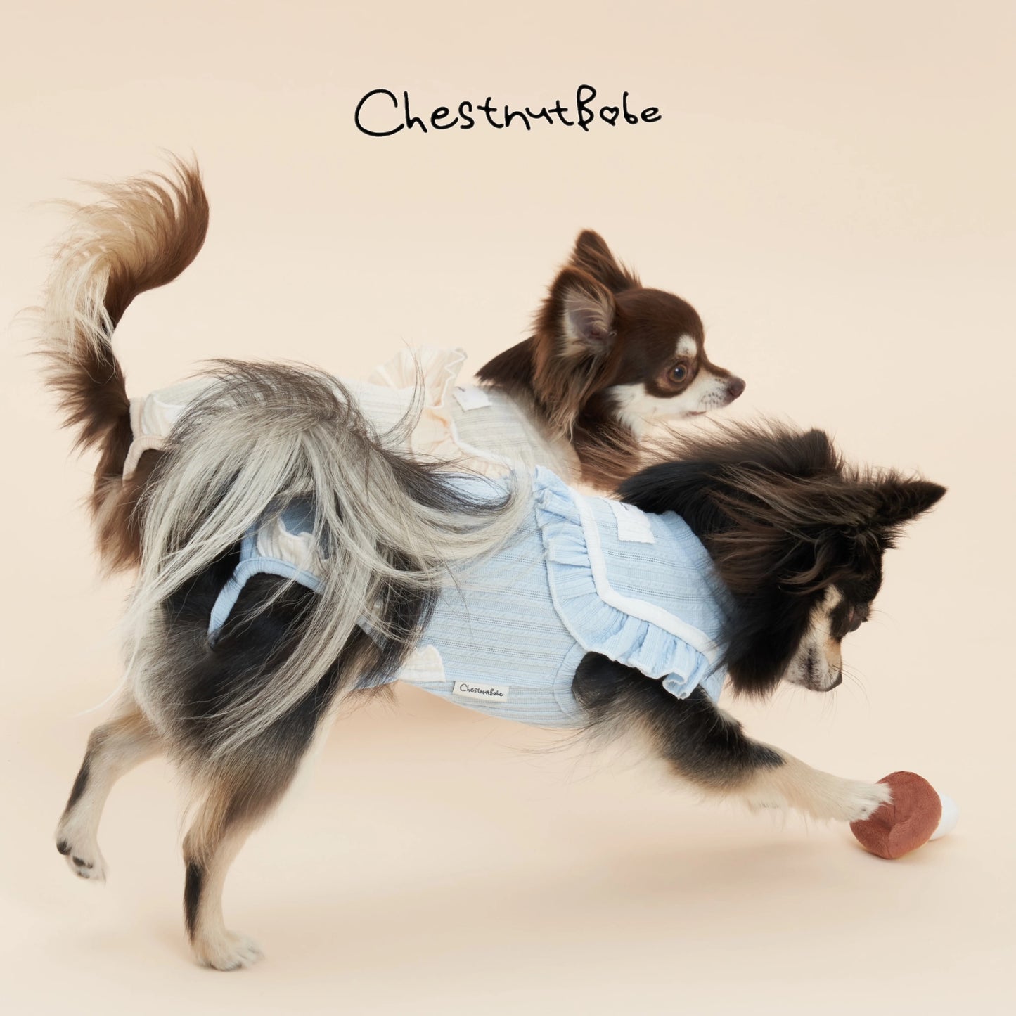 Chestnutbabe-Picnic t-shirt[Chestnutbabe-Picnic 婴儿包屁宠物衣] image 4