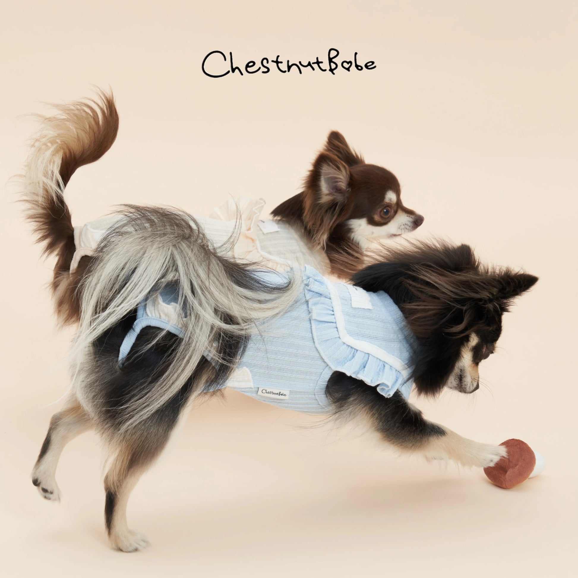 Chestnutbabe-Picnic t-shirt[Chestnutbabe-Picnic 婴儿包屁宠物衣] image 4