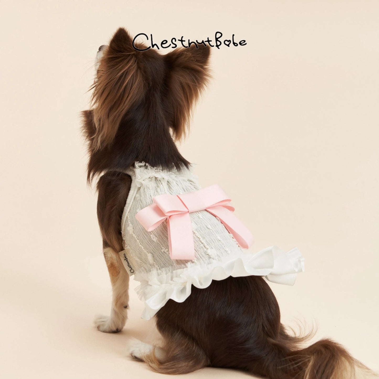 ChestnutBabe-ButterSea Pet Dress[Chestnutbabe-ButterSea 蝴蝶结吊带裙] image 2