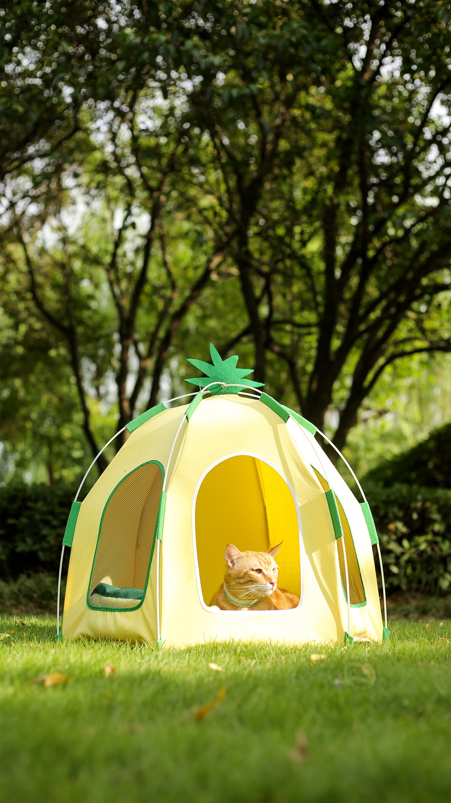 Pet Pineapple Big Tent-75x65cm[菠萝宠物大帐篷-75x65cm] image 3