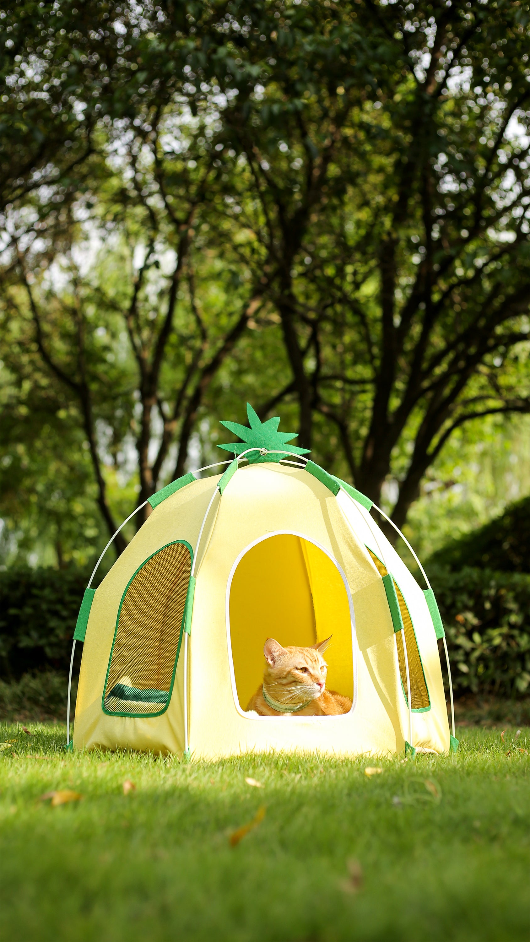 Pet Pineapple Big Tent-75x65cm[菠萝宠物大帐篷-75x65cm] image 3
