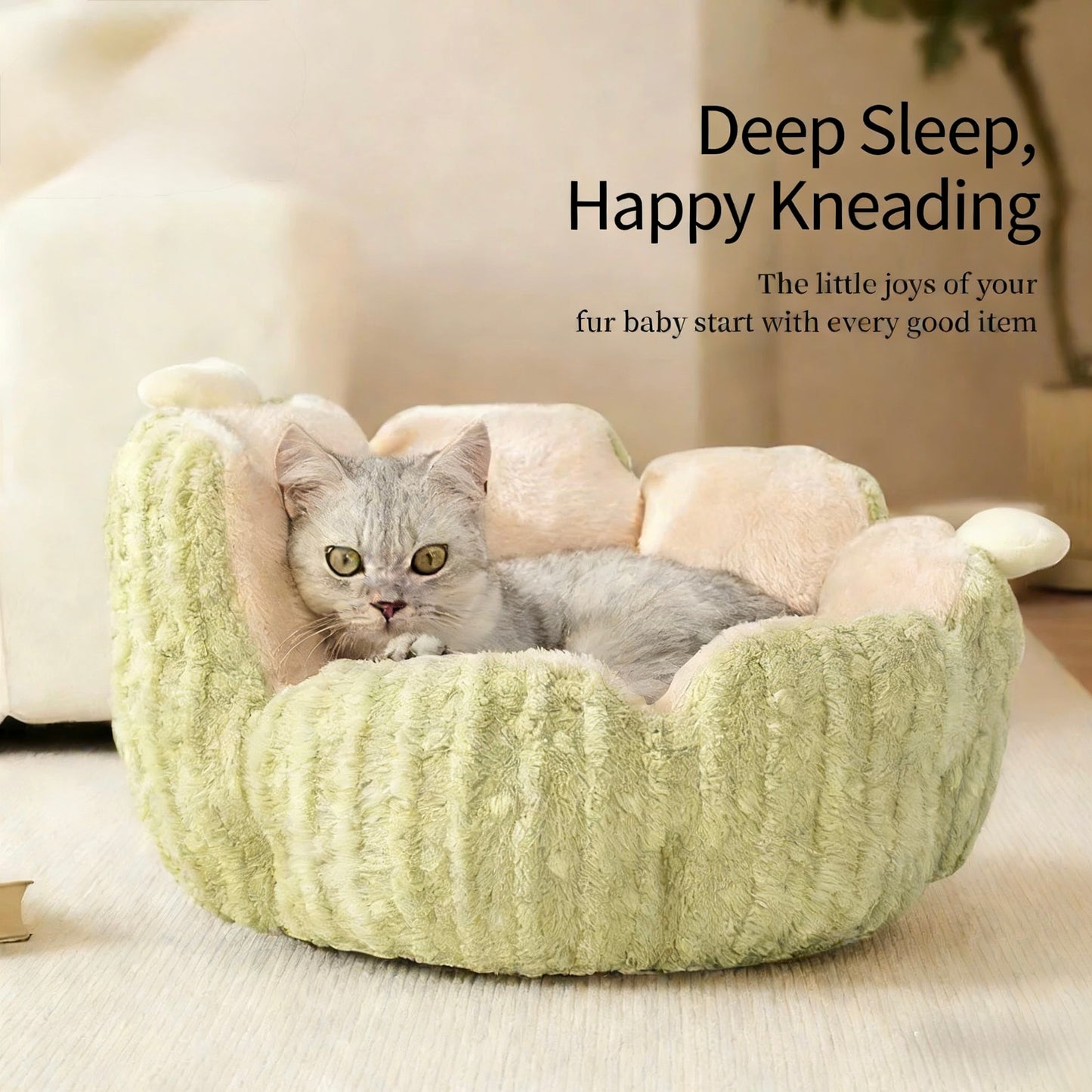 Cactus Pet Bed-2Colours[仙人掌宠物窝-2种颜色2种尺寸]