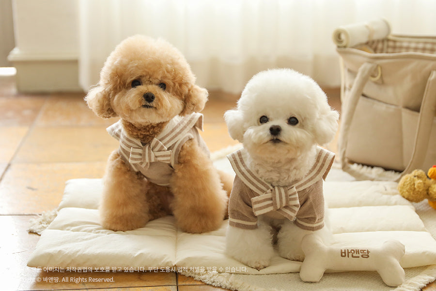 Ba&ttang-Marine Sailor Knit Pullover:mocha[Ba&ttang-水手服小毛衣:摩卡色] image 6