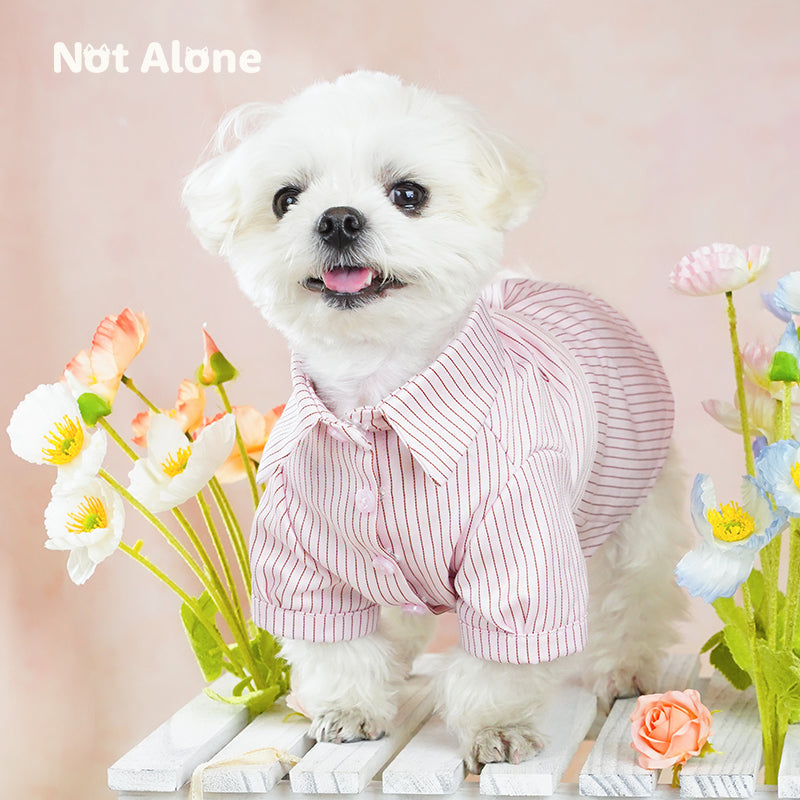 NotAlone-Striped Pet Shirt[不孤岛-下午茶条纹衬衫] image 6