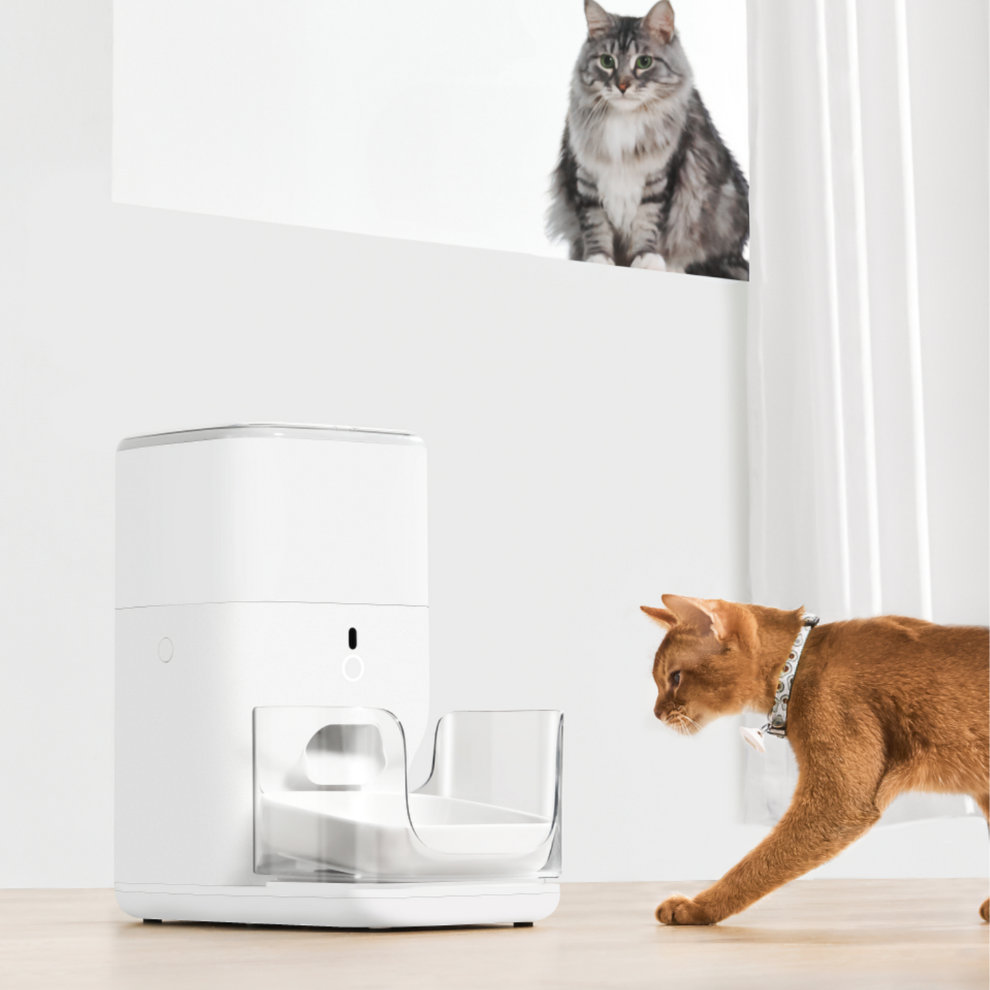 Catlink-UFO Tag Set:2Collar2Tag[Catlink-UFO智能识别项圈:2项圈] image 2