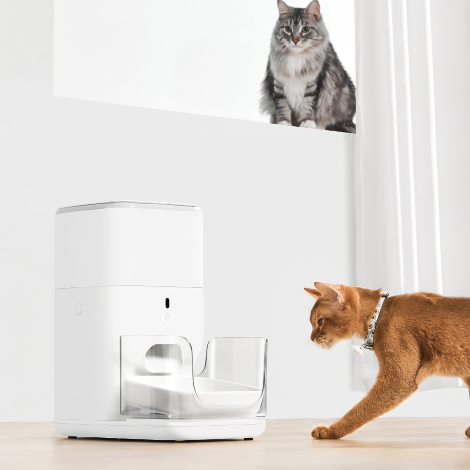 Catlink-UFO Tag Set:2Collar2Tag[Catlink-UFO智能识别项圈:2项圈] image 2