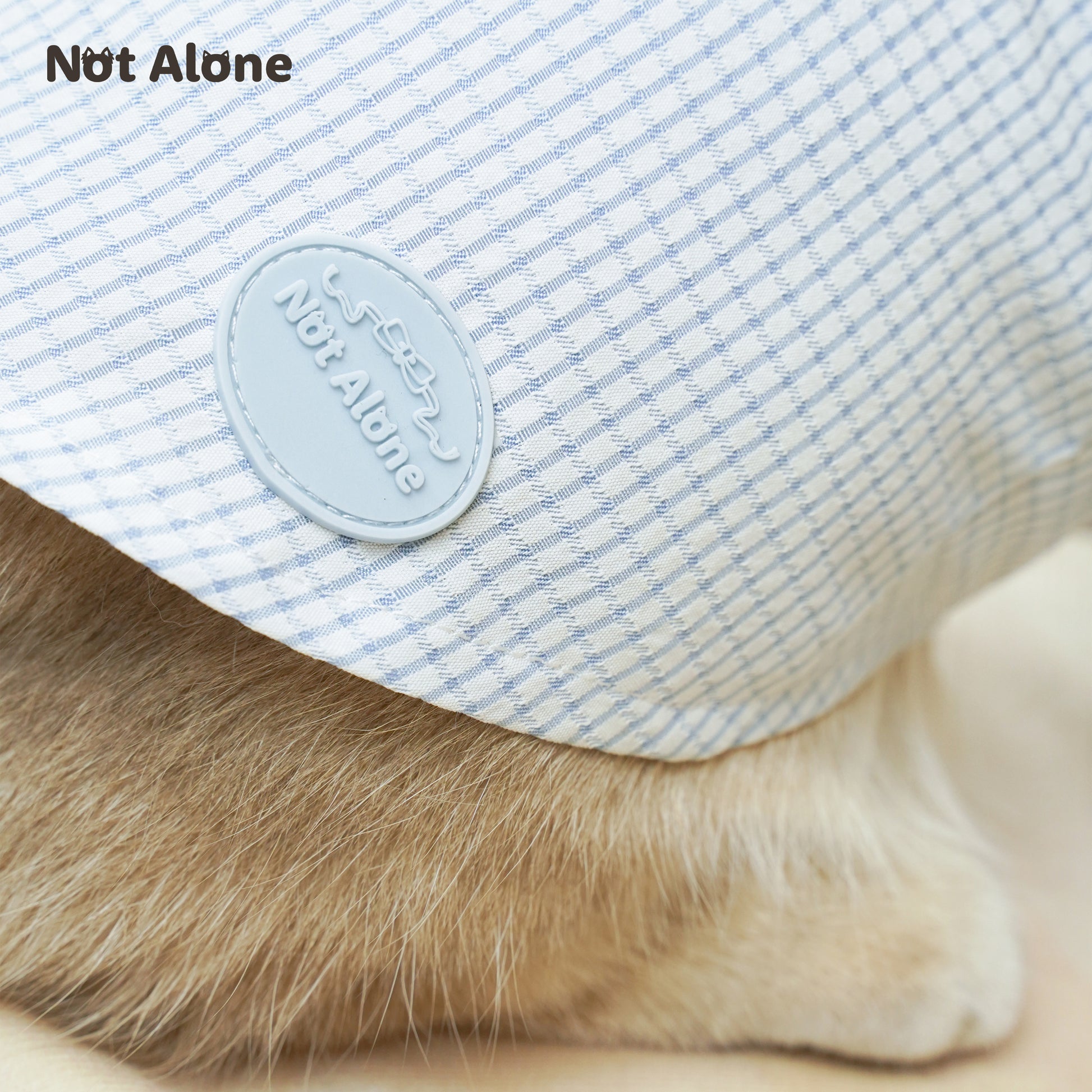 NotAlone-Striped Pet Shirt[不孤岛-下午茶条纹衬衫] image 9