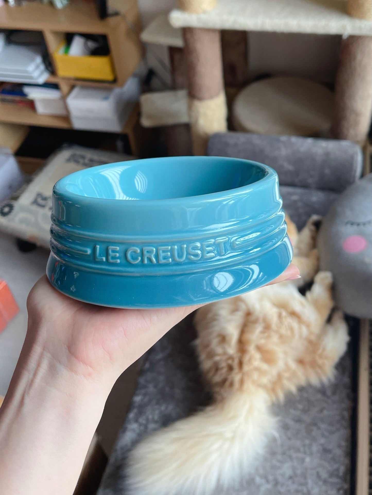 Le Creuset Pet Bowl-Small[酷彩宠物碗小号S-10色可选] image 7