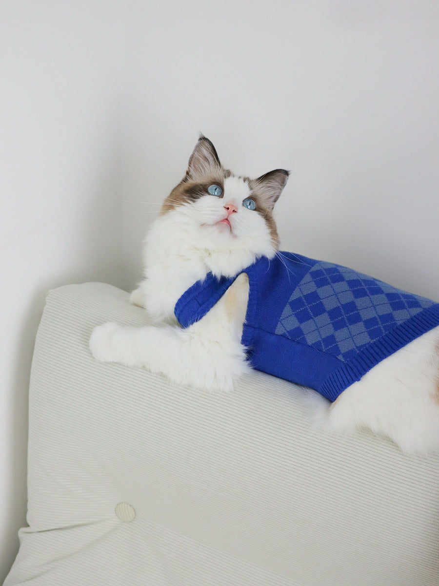 NotAlone-Magic House Pet Sweater Set[不孤岛-魔法学院格纹毛衣套装] image 6