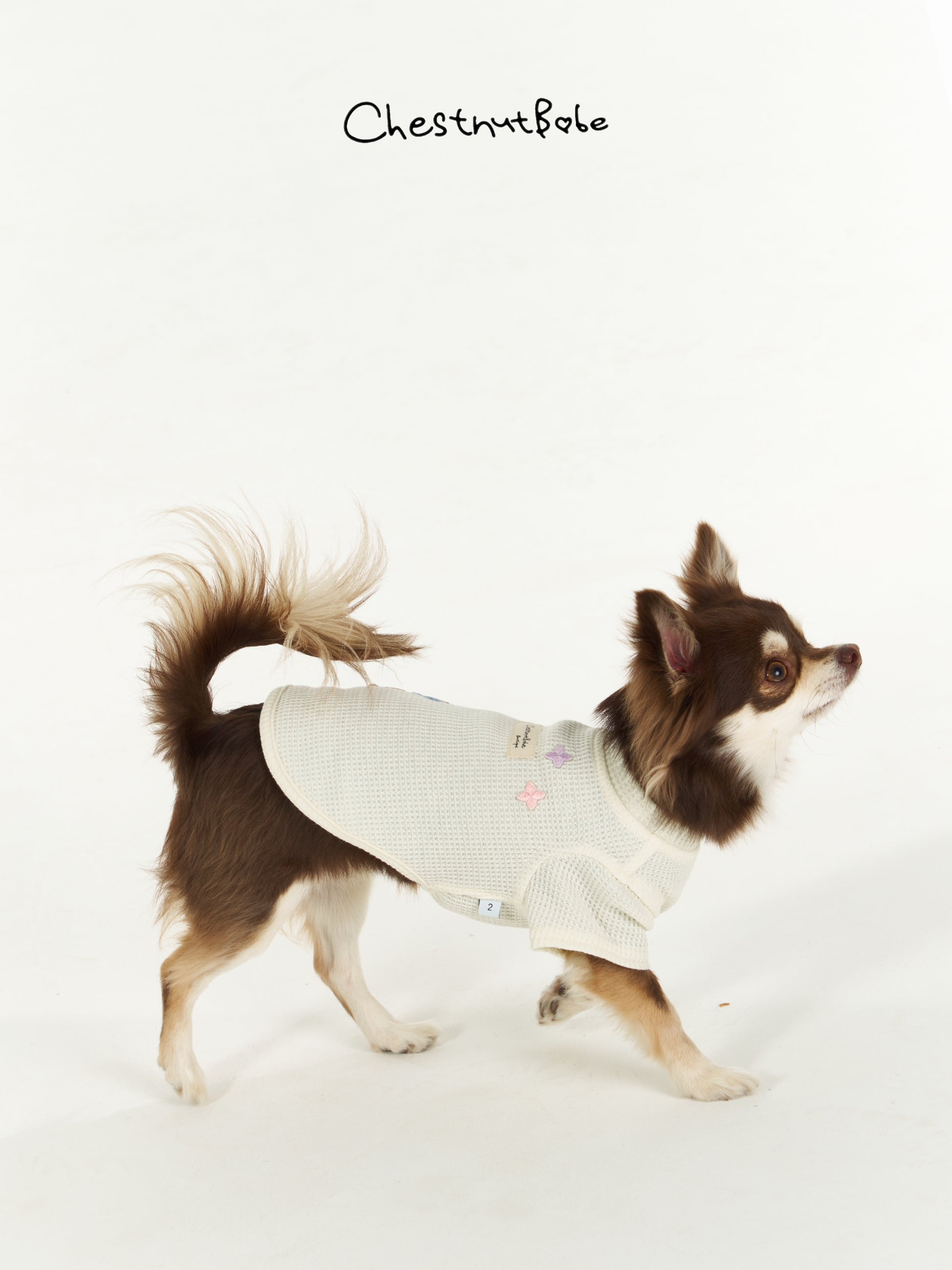 Chestnutbabe-Peter Rabbit sweater[Chestnutbabe-彼得兔衣服] image 5