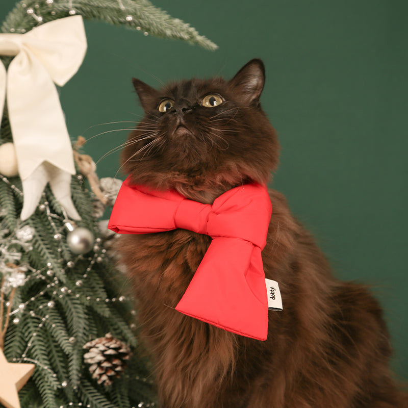 Dotty Lab Bowknot Puffed Scarf image 4