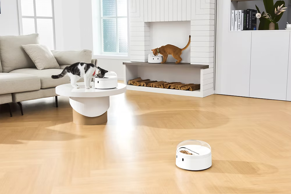 Catlink-AI Feeder RFID Feeder F03[Catlink-识别分餐智能喂食器]