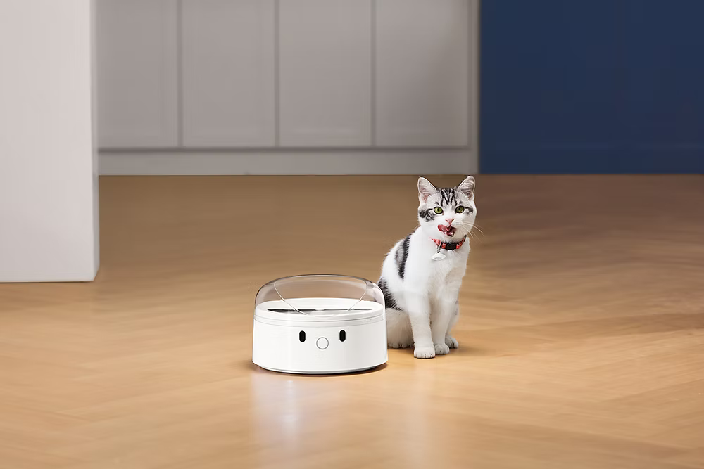 Catlink-AI Feeder RFID Feeder F03[Catlink-识别分餐智能喂食器]