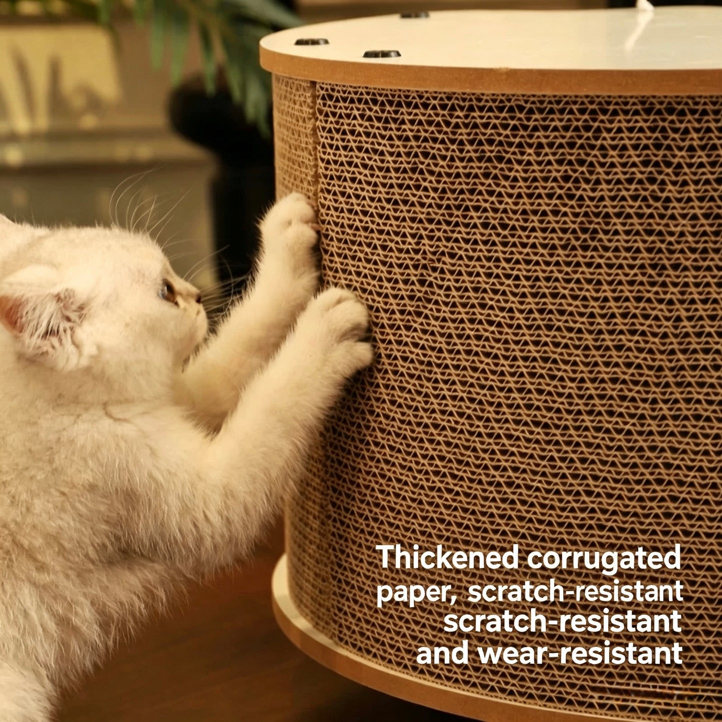 NEW ARRIVALS - Egg Scratcher Bed-2 Colours[蛋壳瓦楞纸猫窝-2种颜色]