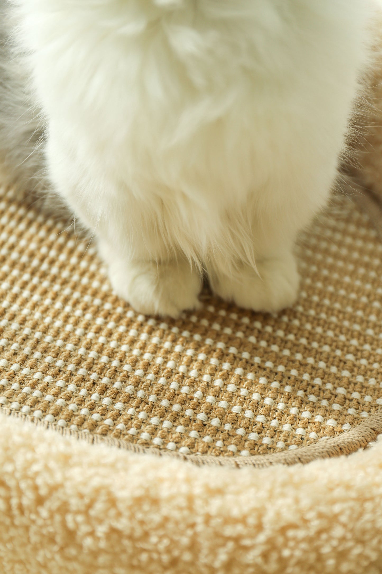 HOT RETURNED-Big Sofa Sisal Scratcher-2Colours[极简剑麻垫沙发-2种颜色]