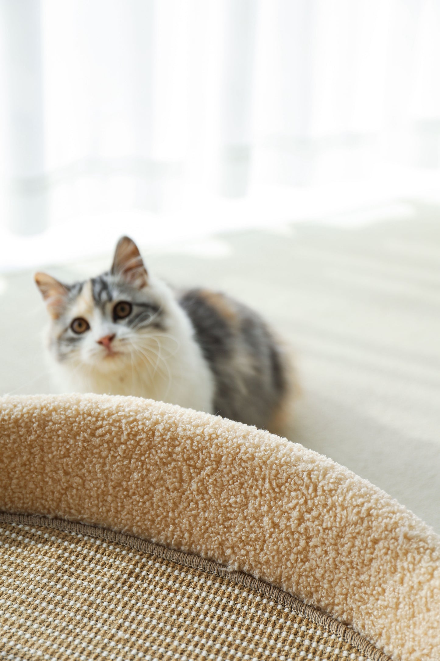 HOT RETURNED-Big Sofa Sisal Scratcher-2Colours[极简剑麻垫沙发-2种颜色]