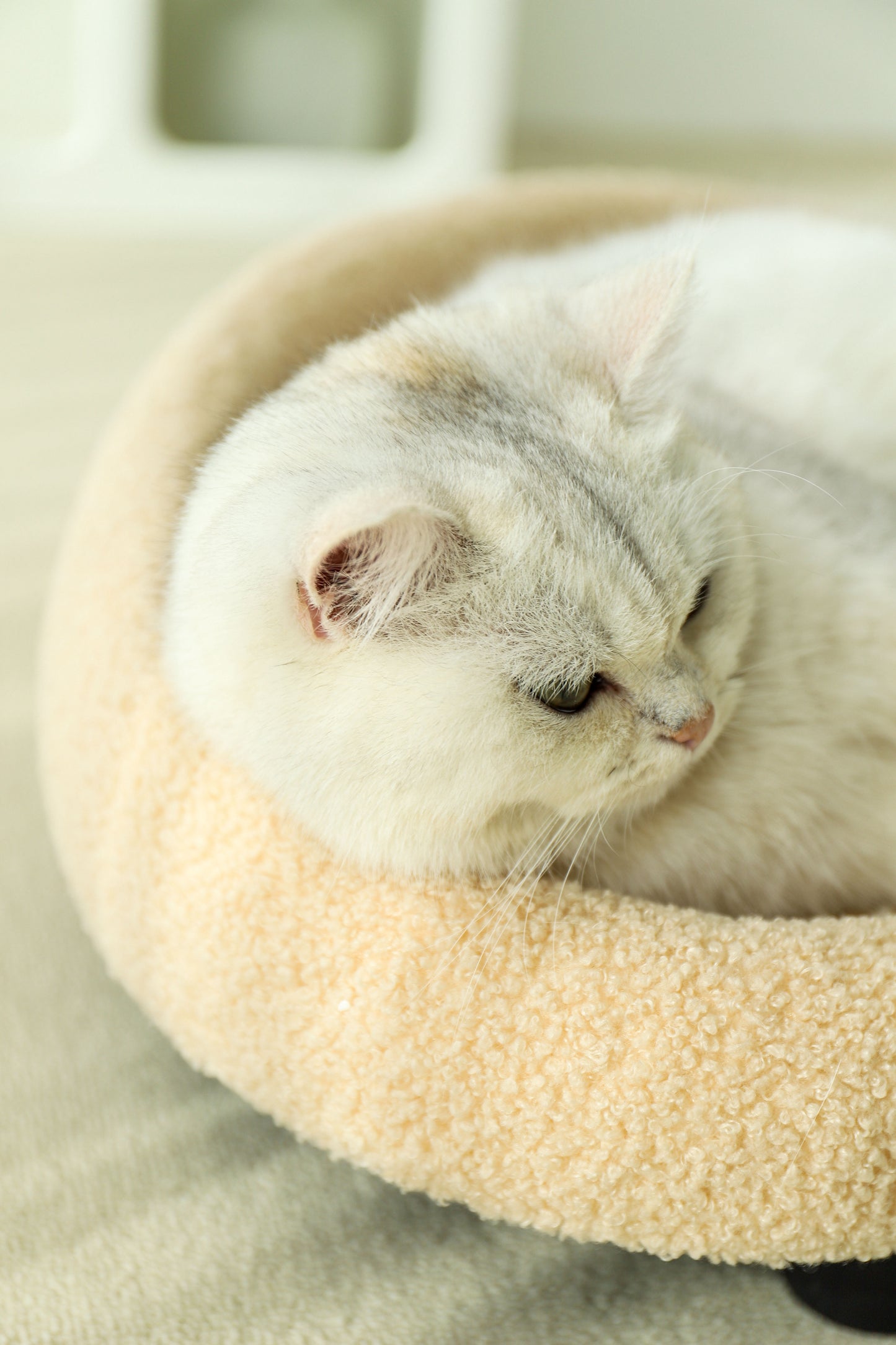 HOT RETURNED-Big Sofa Sisal Scratcher-2Colours[极简剑麻垫沙发-2种颜色]
