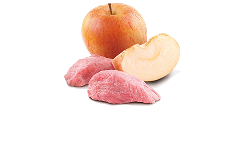 Farmina Cat N&D Wild BOAR&APPLE WET FOOD-70g[法米娜N&D野猪肉苹果罐头-70g]