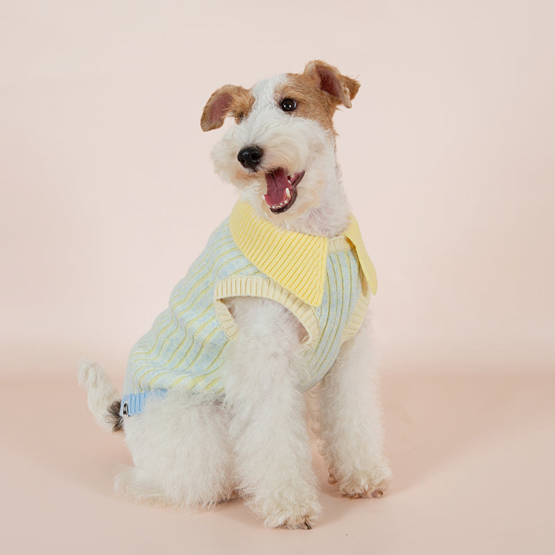 Dotty Lab Contrast striped knitted vest image 2