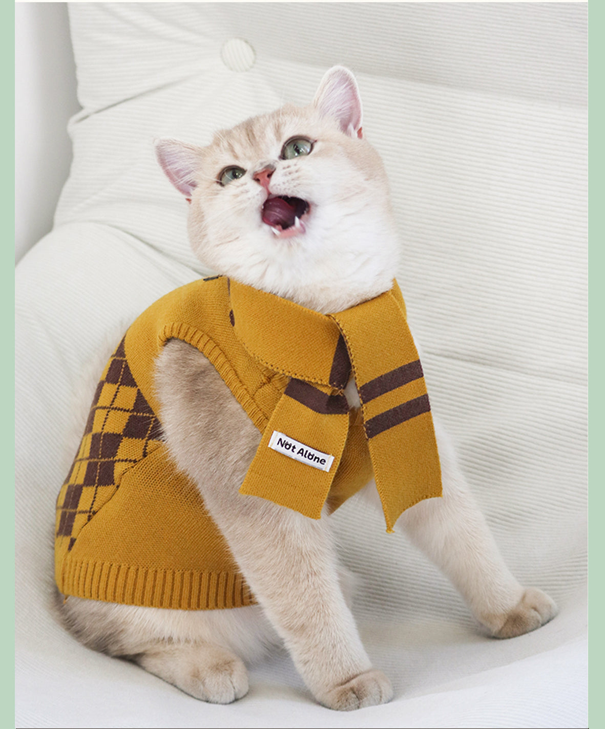 NotAlone-Magic House Pet Sweater Set[不孤岛-魔法学院格纹毛衣套装] image 8