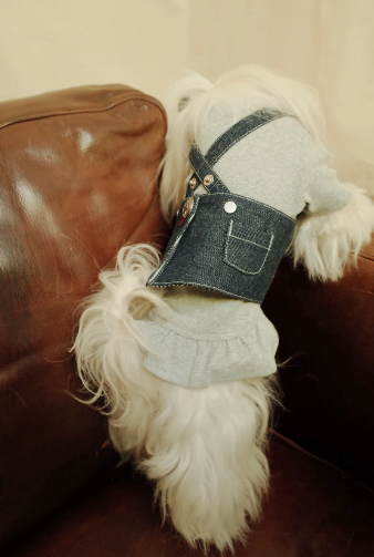 Patuu Dark Denim Skirt image 4