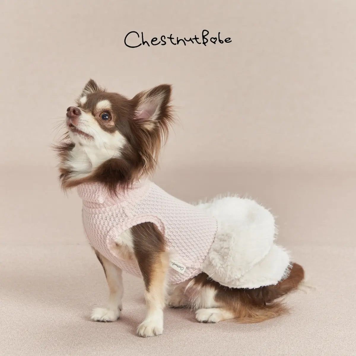 Chestnutbabe-Little Cake Dress[Chestnutbabe-毛绒小蛋糕衣裙] image 0