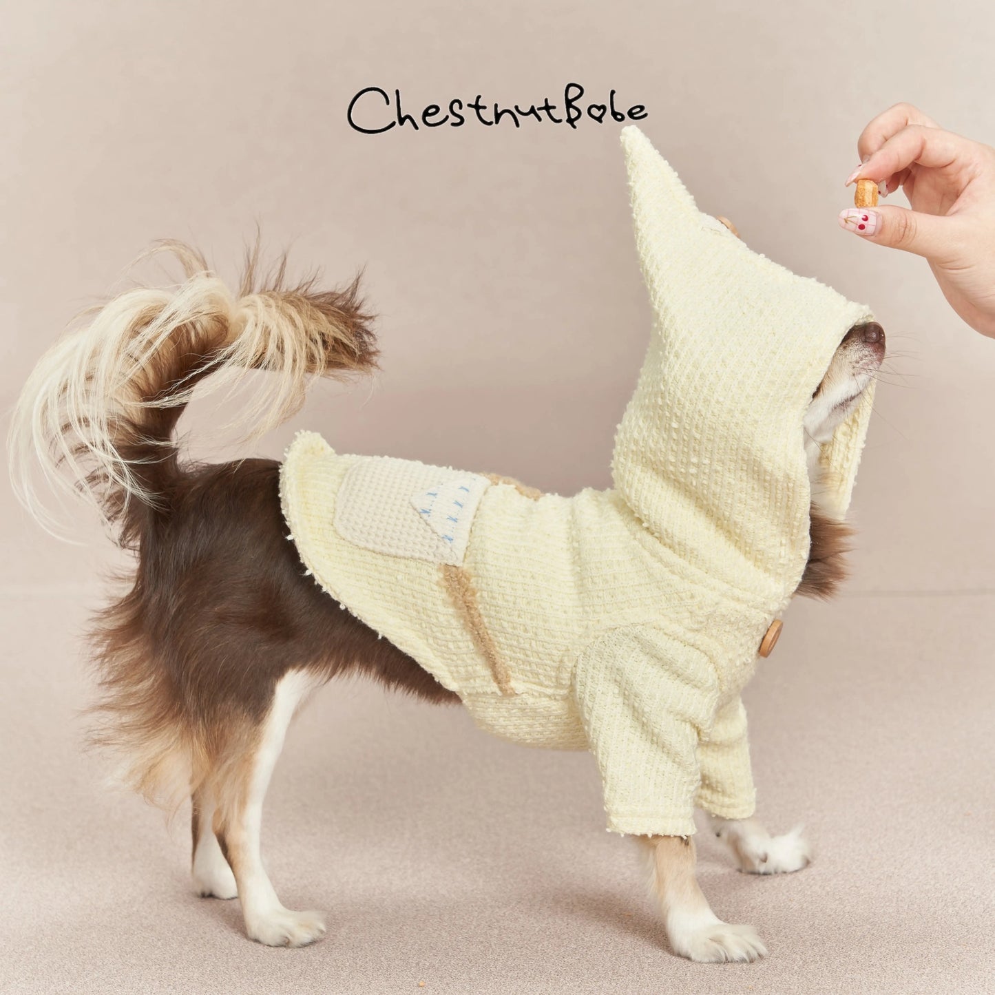 Chestnutbabe-Yellow huddie[Chestnutbabe-黄色帽衫] image 2