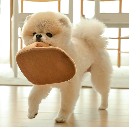 Laughing Charlie Slippers Toy[韩国LaughingCharlie拖鞋玩具] image 4