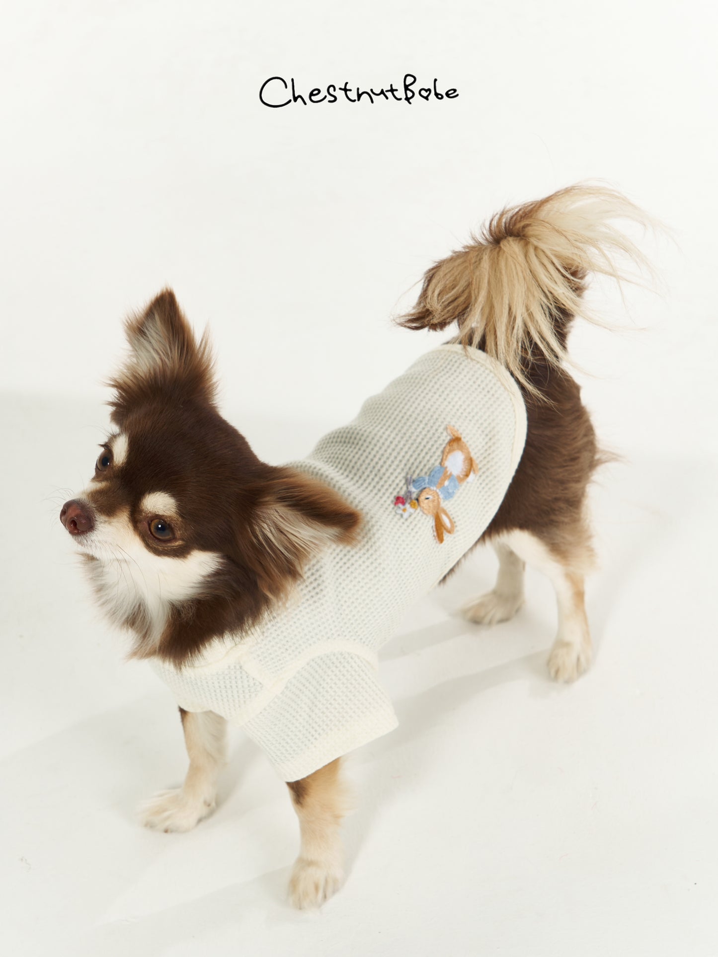 Chestnutbabe-Peter Rabbit sweater[Chestnutbabe-彼得兔衣服] image 4