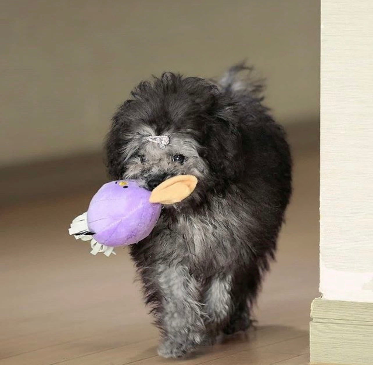 BiteMe-Vegetable Series Toy[BiteMe-蔬菜系列玩具] image 3