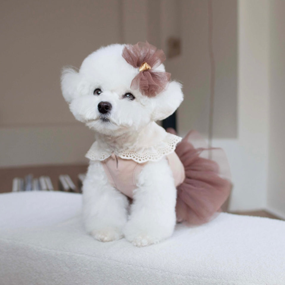 CocoChien Cute Lace Dress[韩国CocoChien可爱蓬蓬连衣裙(2种颜色)] image 7